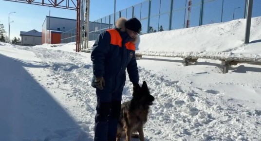 ��������� ��������� ����������� ��������� ������� � ��������