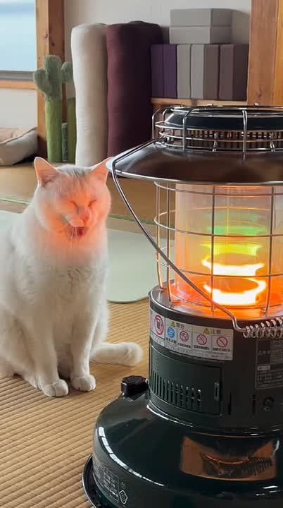 ������ ����. 11 ������� ���������� ������������� ���� ����������� ���������