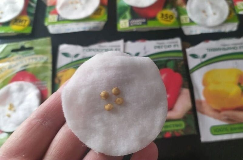 ��� ��������� ���������� ����� ������ ����� �� �������