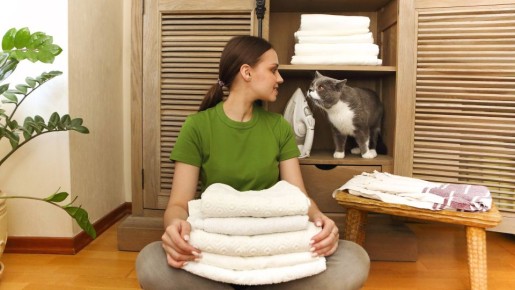 ��������� ����� � ��������: ��� ��� ������ ���������� �� ������ �� ������