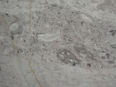 ��� ������� ������� ���������� �����: ������� ������ �� �����