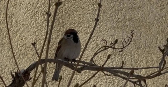 �������� �� ������� ������ ����������� ��������� �������� � ������? ������ ��������!