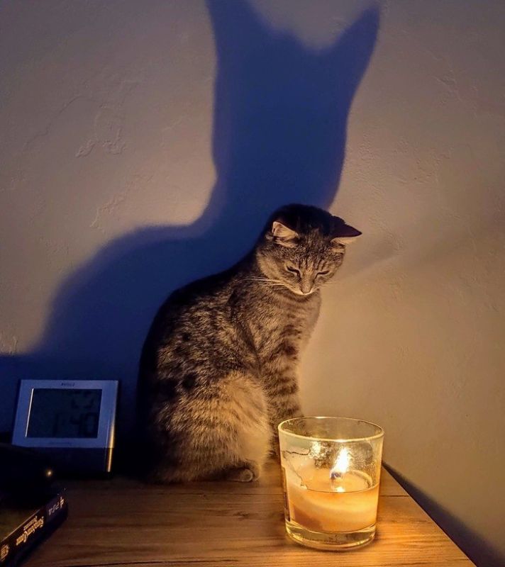 ����������� ���������� ��������, ��� ����� ��������� ���� 5 �������