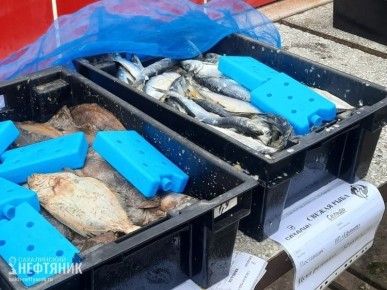 ��������� ������ �. ���!. �� ������� "��������� ����" 12 � 13 ������� � ��������� ��� ����� ����������� ����� �������������� �������� �������� �� ������� ������ ���� �� ����: ������ 60 ������ �� ���������;