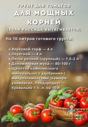 ����� ������ ��� ������� ������� ��� �����������: ��������� ������� ��� ������ ������