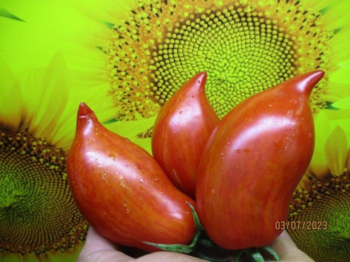 ����� ���� ���-�����: ���������� ����� � ����� ������ � ���������� ������