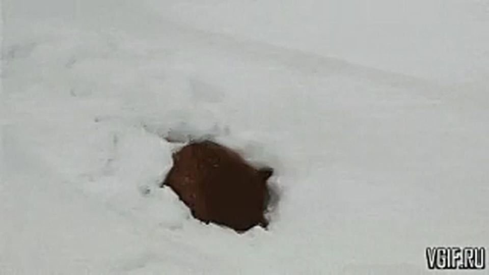 ��������� �������� �������? ����� ��� ����, ��� ��� �� ���� ������� �����?