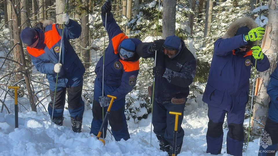Спасатели МЧС России провели занятие по лавинной подготовке