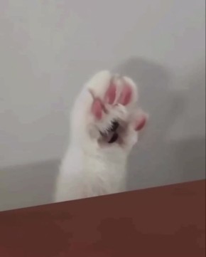 ������ ����. 13 ������� �� ���� �� ��������� ��� ��� ���������