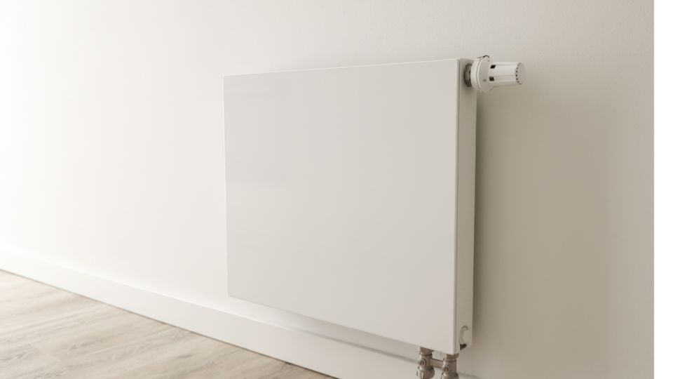 ��� �����������, ���� � �������� �������: ������ �� ����������������