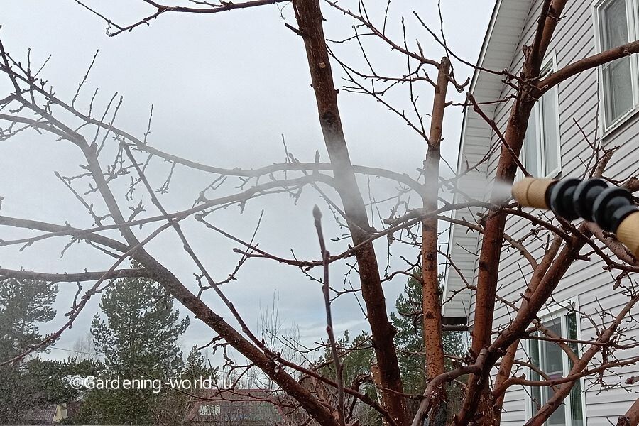 ��� �������� ��� ������: ����������� ��������� ��� ������ ���������