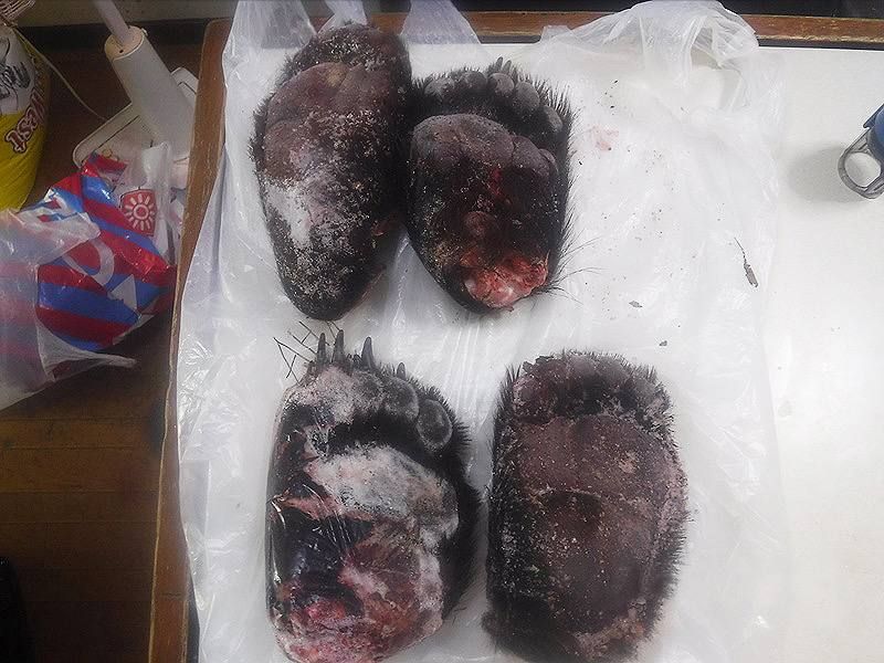 ������������� ���� ������������ ������� ������ �� ������� ��������� ������