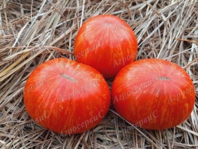 Томат Солнечная вспышка: как выращивать уникальный сорт для ярких блюд