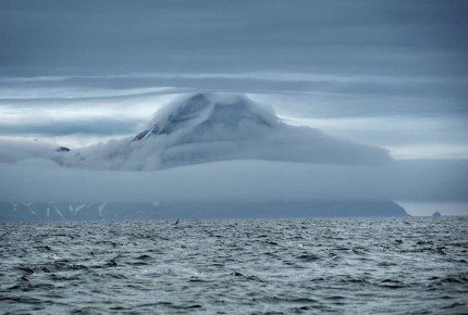 ������� ����� � �����. ������ ������� ��������� � ���� ������� �� ����������