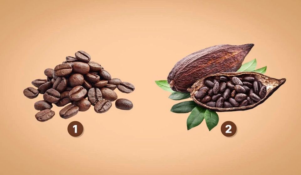 Проще простого: что говорит ваше предпочтение между кофе и какао о вас