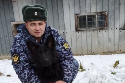 ��������� ������ �� ������������ ���� ����� ������������ ������������ �� ��������