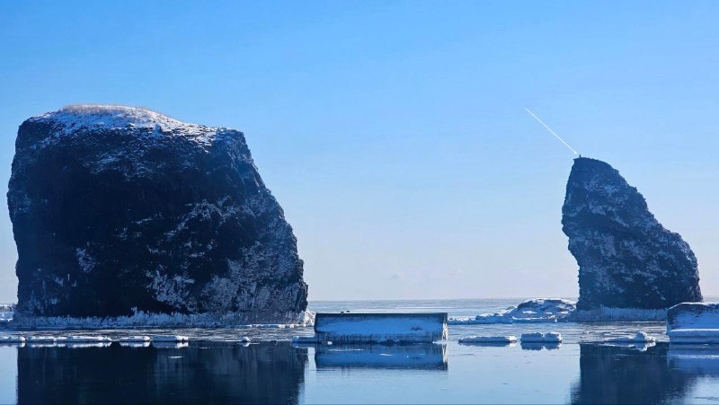 Семейная скала снова под присмотром: орлан вернулся к гнезду у биостанции "Анива" Семейная скала снова под присмотром: орлан вернулся к гнезду у биостанции "Анива"