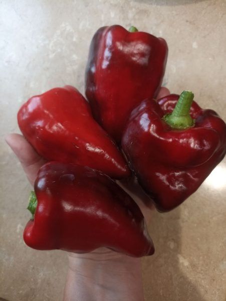 ����� ������: ��������� ����� ��� ������ ������ � ��������