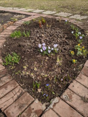 ��������� �������� � ����� ����: ������� �������� �����