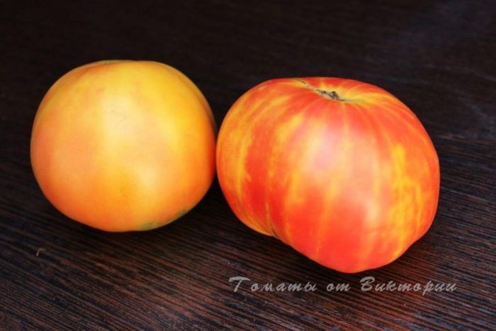 ����� ������� ������: ���������� ���� � ��������� ������ � ����������� �������