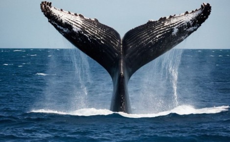 ���������� ���������� �� ��������� �� ���������� ��� �����