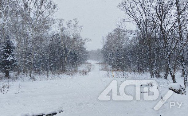 ���� � �� +4 ��������: ���������� ������� ������ �� ��� �������� 16 �������