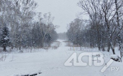 ���� � �� +4 ��������: ���������� ������� ������ �� ��� �������� 16 �������