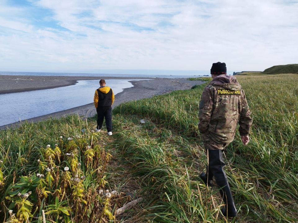 � ������-��������� ������� ������� ������ �� ���������� ����� ������� � ����� ������� �������