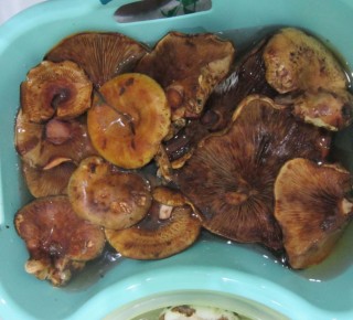 ��������: ��� ��������� �������� � ������������ ������� �����������