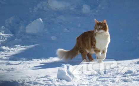 ���������� �� 0 �������� ���� �� ��� �������� 17 �������