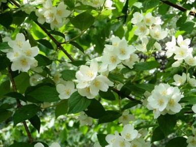 ������ ������� ������? 5 ������� �����, ����� ������ ������ � ������ ���