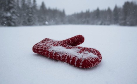 ��������, ������� ����: ������� ��� ����������� ������� �� 19 �������