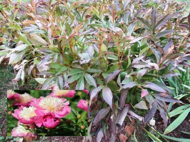 ����� � ����� ��������� �������� ����� �� ����?