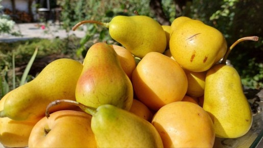 ��� ����� ����� �������� ������� � ��������: 5 �������� � ��������