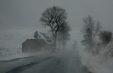 ������ ������� ������ �� ����� ������� ��������