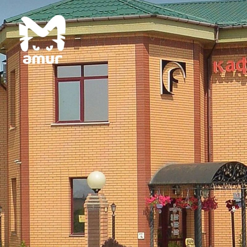 ����� 20 ������� ���������� � ���������� ���� ����-����������