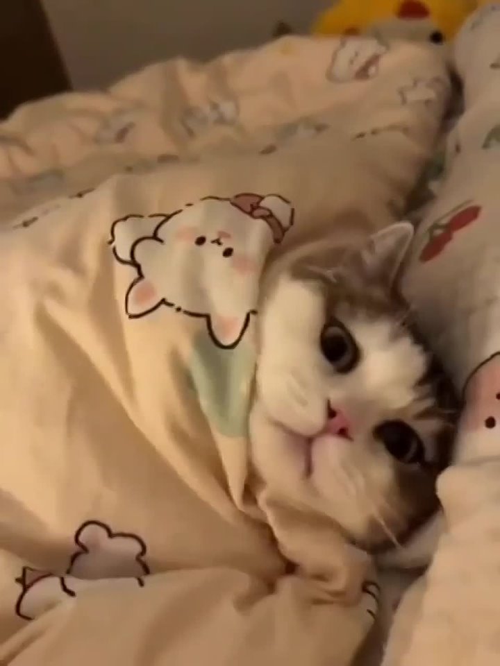 Доброе утро. 96 лет назад человечество открыло новую планету – Плутон