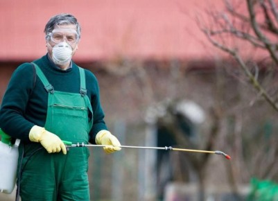 ����� ����������� ������������ ��������: ��� �� ������� ����