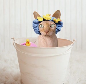 ���� ����� ������� ��� ������� ���� � ����-����������