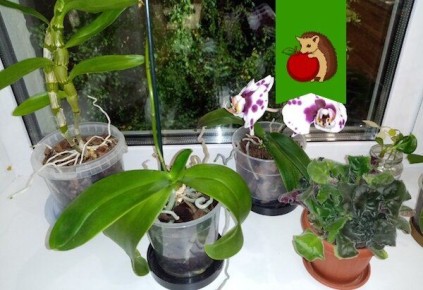 ��������� ���� ������ � ������������: ���������� ���� ��� ��������� ��������� ��������