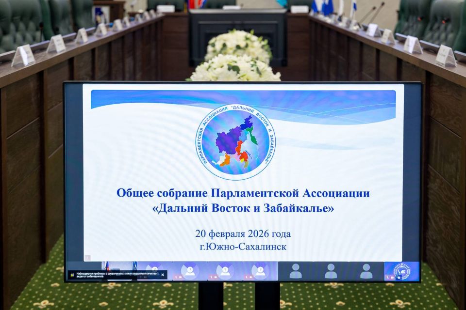 Елена Касьянова выступила на Общем собрании Ассоциации «Дальнего Востока и Забайкалья»