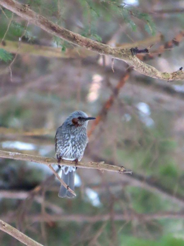 �������� ������������ � ��������� ����� ����-����������