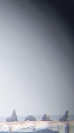 "� ��������� ������� �����: ������ ������, ����� � ��������� �����)"