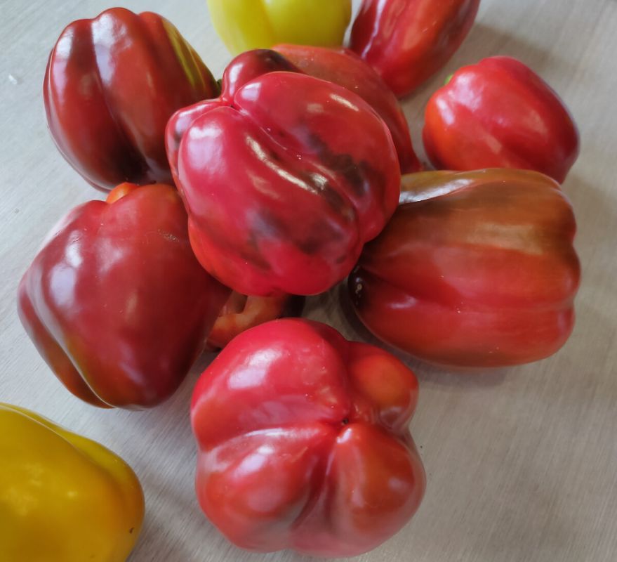 Как одна ошибка с урожаем научила меня игнорировать лунный календарь