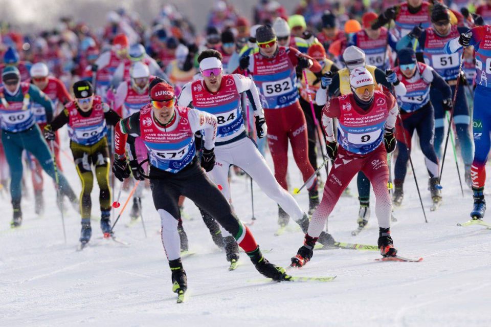 ����� �������� ������ ���������� ������� �������� ������ �.�. ������������