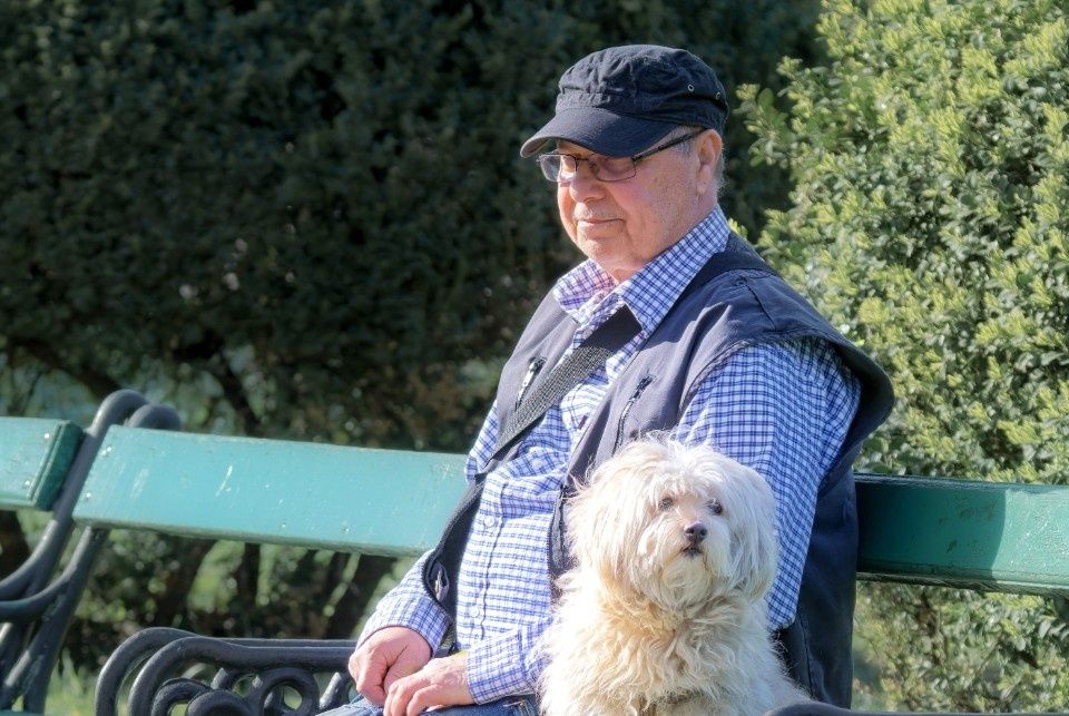 Как исправить ошибки в стаже для пенсии: простые шаги к вашей справедливости