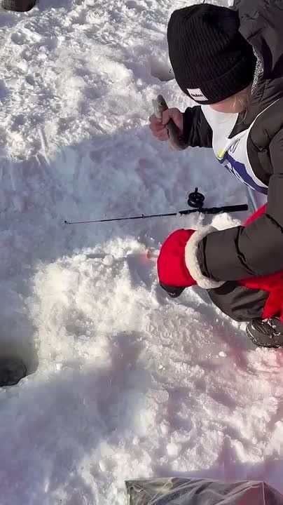 ��������� ���� � �������� �������: ��������� ������� ������ ��������� ������������ ���