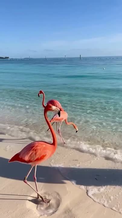 ������ ����!. ������� �e�� �e����epa � ���� ���� �������� ������� ���� �������� (1942 � 2025), ���� ���� ������� (1977), ����� ������� ���������� (1957), ������� ���� ���� (1987) � �������� ���� ���� �� ������� (1927 �...