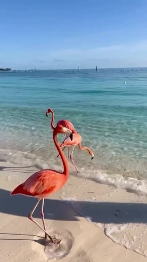 Доброе утро!. Сегодня дeнь фeльдшepa В этот день родились актриса Вера Алентова (1942 — 2025), актёр Илья Любимов (1977), певец Николай Расторгуев (1957), актриса Эшли Грин (1987) и модельер Граф Юбер де Живанши (1927 —...