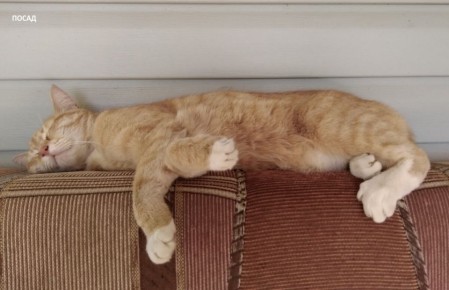 ��� �������� ������� �� ����-����������? ������� ������� ������� ��������� ���������� �� ���� ��������